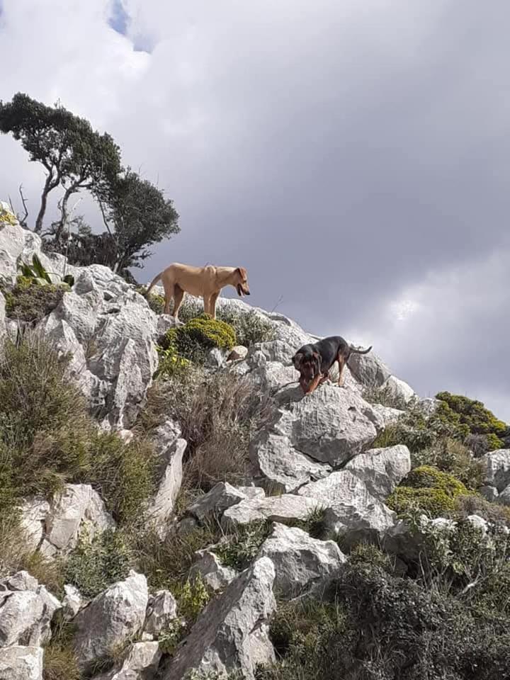 La Petite Planete Hotel Mykines Bagian luar foto