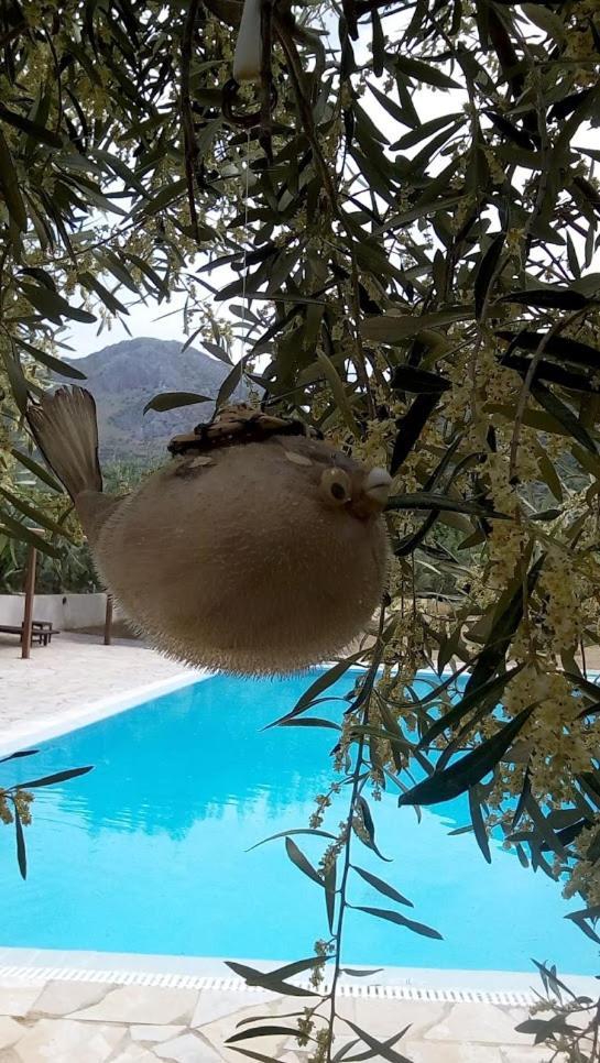 La Petite Planete Hotel Mykines Bagian luar foto